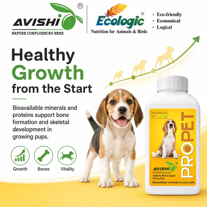 Avishi Propet Clinical Information