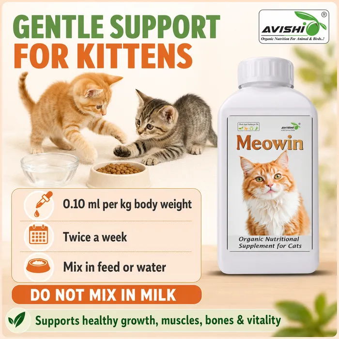 Avishi Meowin Clinical Information