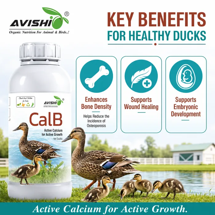 Avishi CalB (Duck) Clinical Information