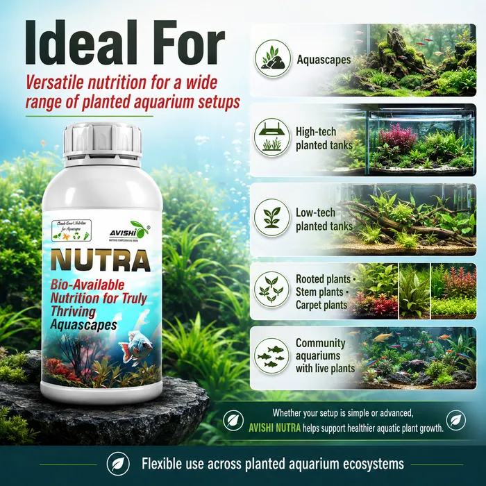 Avishi Nutra Clinical Information