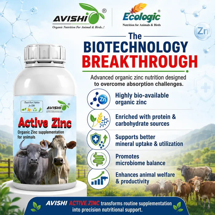 Avishi Active Zinc Clinical Information