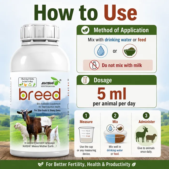 Avishi Breed (Goat & Sheep) Clinical Information