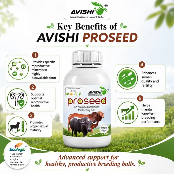 Avishi Proseed Clinical Information