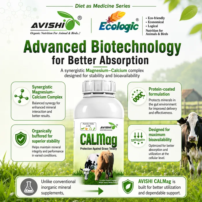 Avishi CalMag (Cattle) Clinical Information