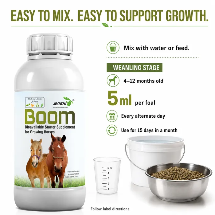 Avishi Boom Clinical Information