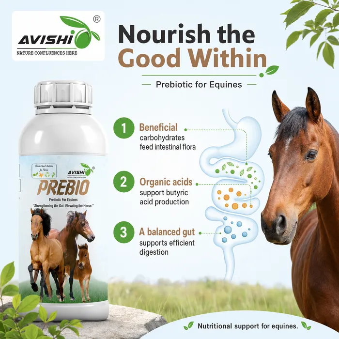 Avishi Prebio (Equine) Clinical Information