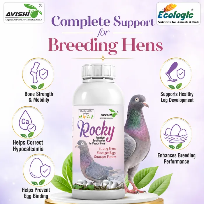 Avishi Rocky Clinical Information