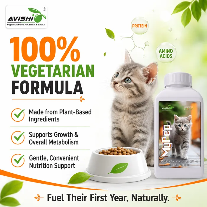Avishi Mypep Clinical Information