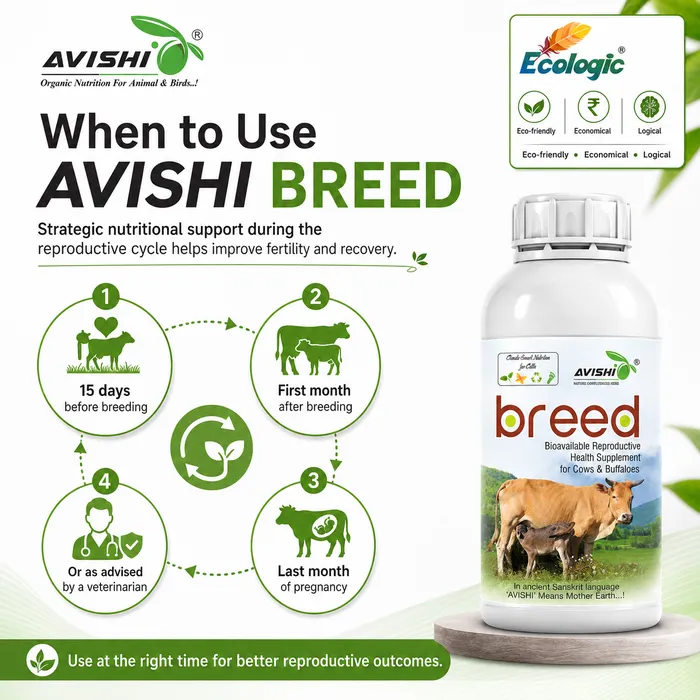 Avishi Breed Clinical Information