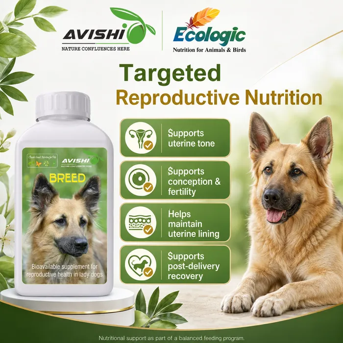 Avishi Breed (Canine) Clinical Information
