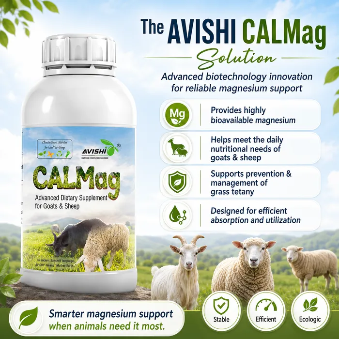 Avishi CalMag (Goat & Sheep) Clinical Information