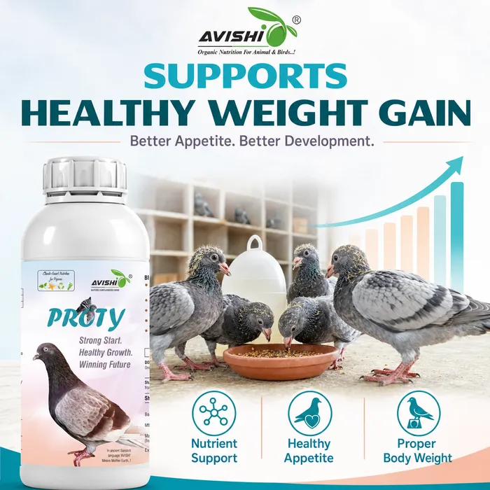 Avishi Proty Clinical Information