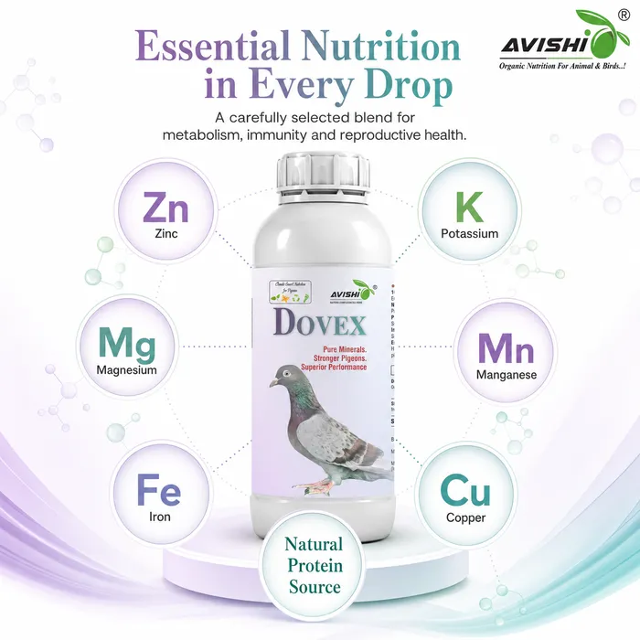 Avishi Dovex Clinical Information