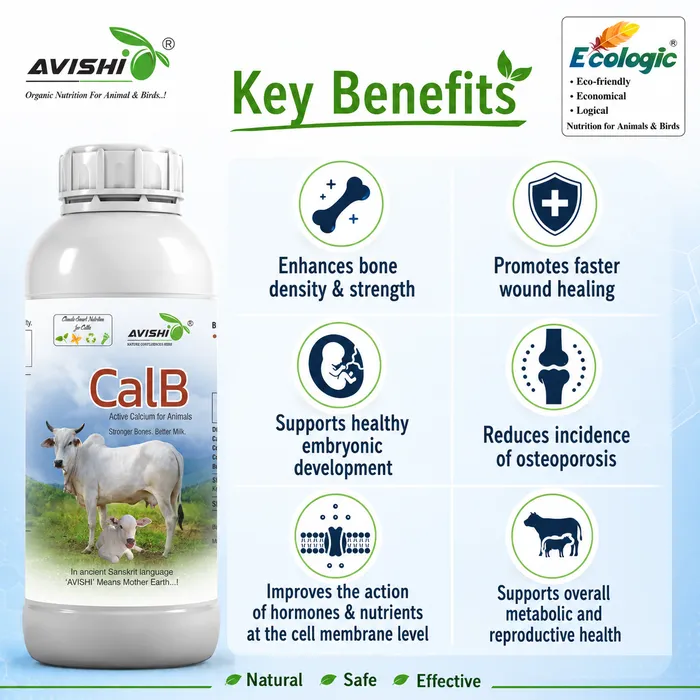 Avishi CalB (Cattle) Clinical Information