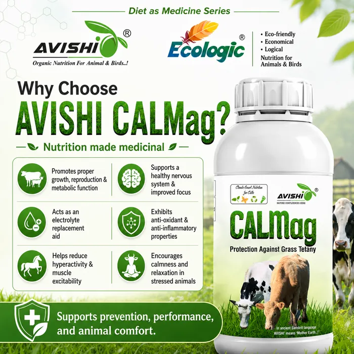 Avishi CalMag (Cattle) Clinical Information