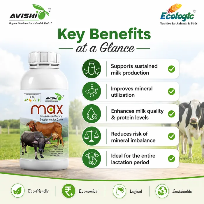 Avishi Max Clinical Information
