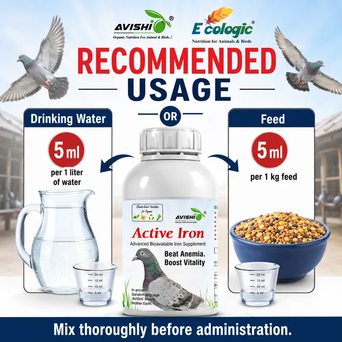 Avishi Active Iron (Pigeon) Clinical Information