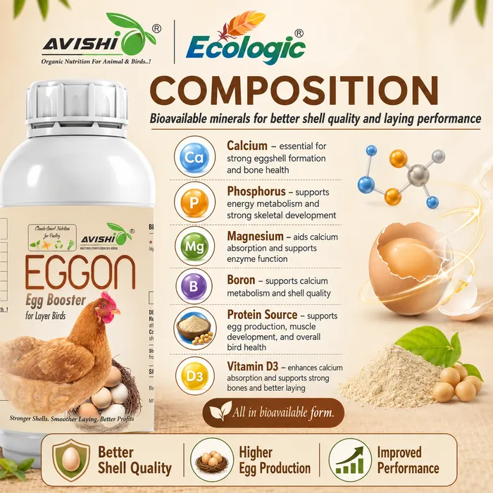 Avishi Eggon Clinical Information