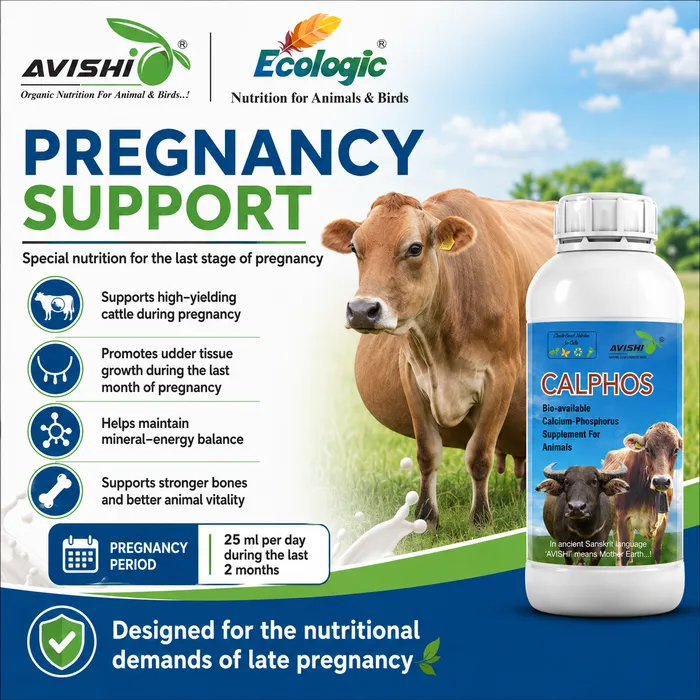 Avishi Calphos Clinical Information