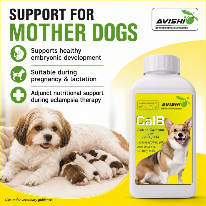 Avishi CalB (Canine) Clinical Information