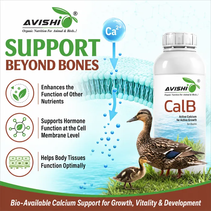 Avishi CalB (Duck) Clinical Information