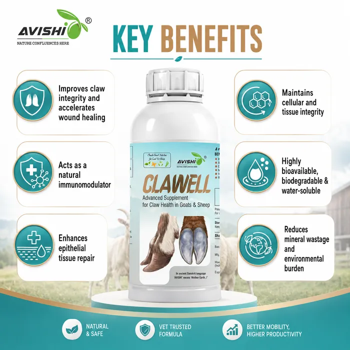 Avishi Clawell (Goat & Sheep) Clinical Information
