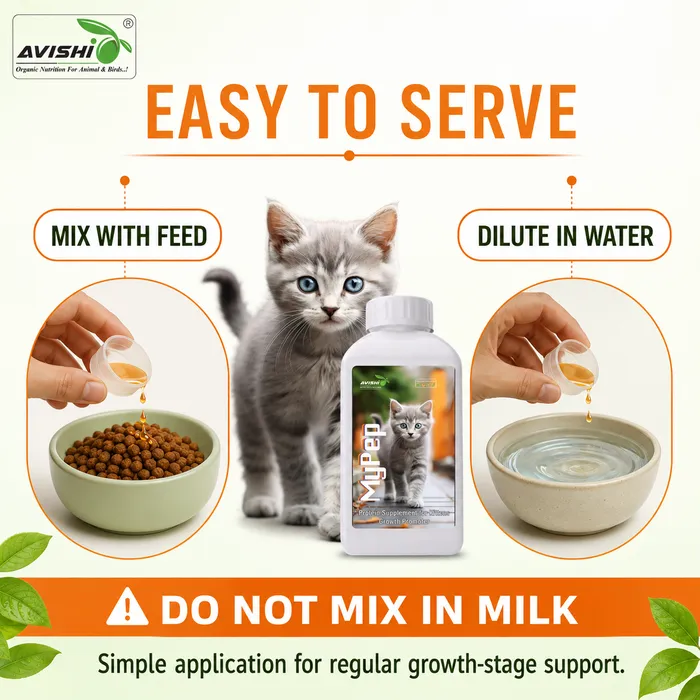 Avishi Mypep Clinical Information