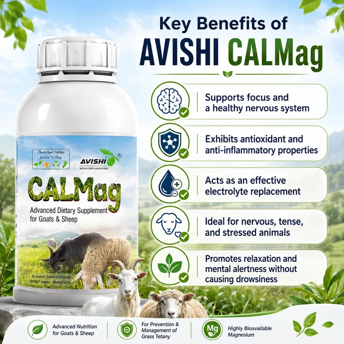 Avishi CalMag (Goat & Sheep) Clinical Information