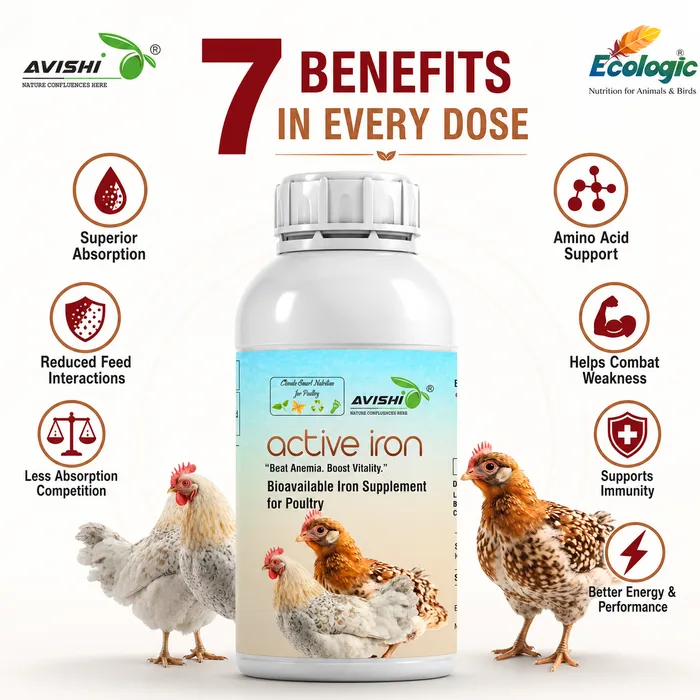 Avishi Active Iron (Poultry) Clinical Information