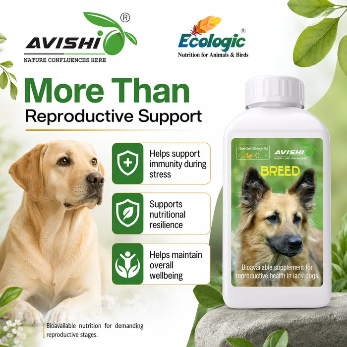 Avishi Breed (Canine) Clinical Information
