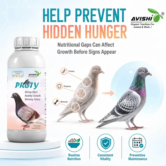 Avishi Proty Clinical Information