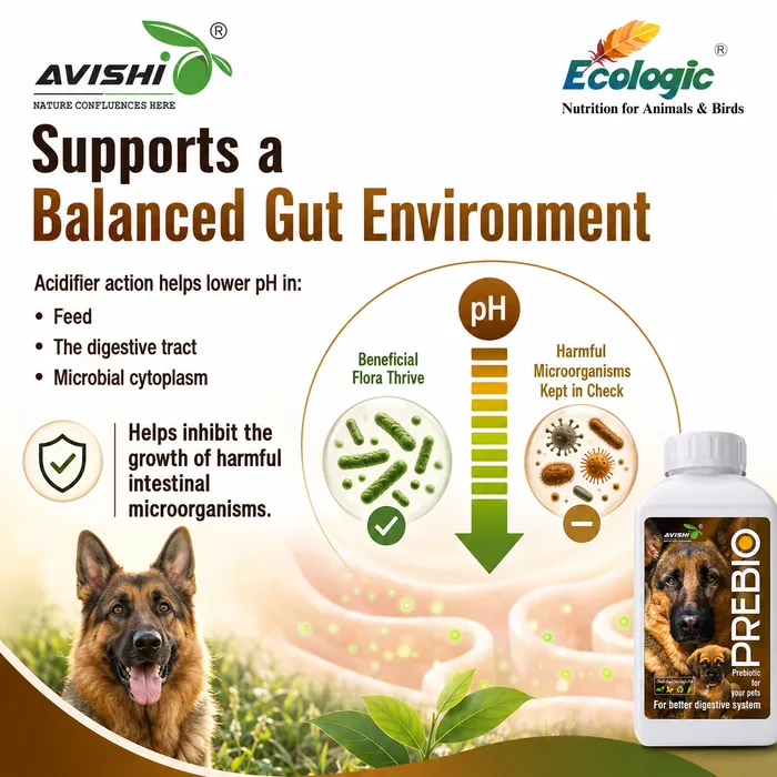 Avishi Prebio (Canine) Clinical Information