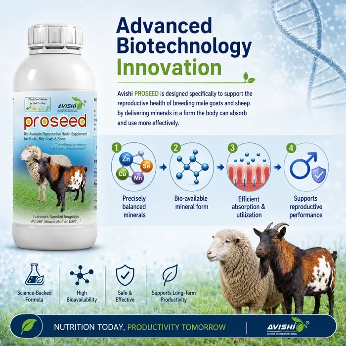Avishi Proseed (Goat & Sheep) Clinical Information