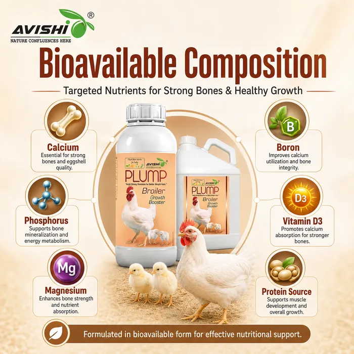 Avishi Plump Clinical Information