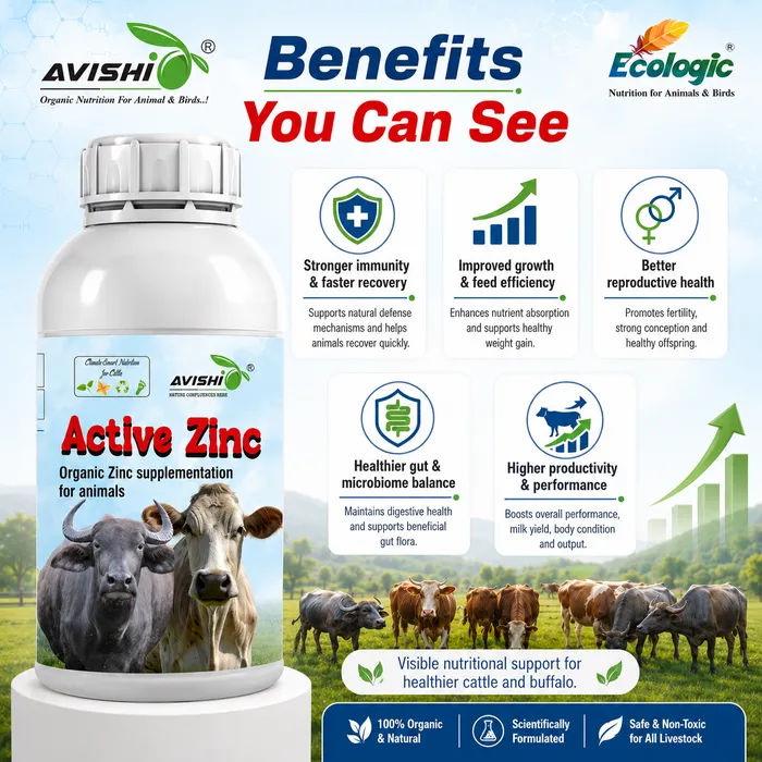 Avishi Active Zinc Clinical Information