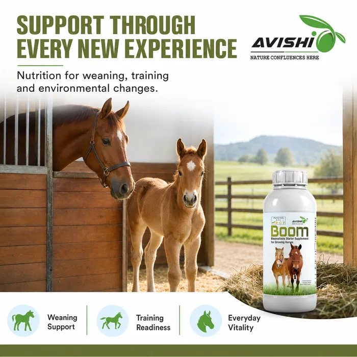Avishi Boom Clinical Information