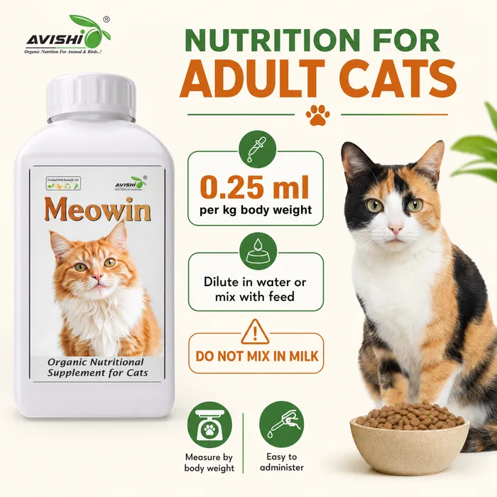 Avishi Meowin Clinical Information