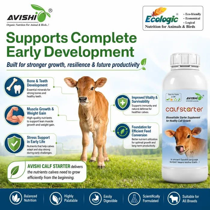 Avishi Calf Starter Clinical Information