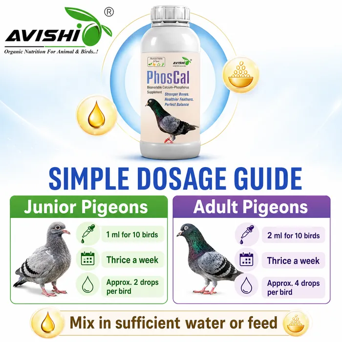Avishi Phoscal Clinical Information