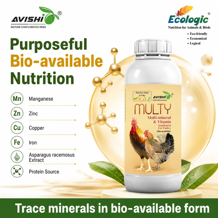 Avishi Multy Clinical Information