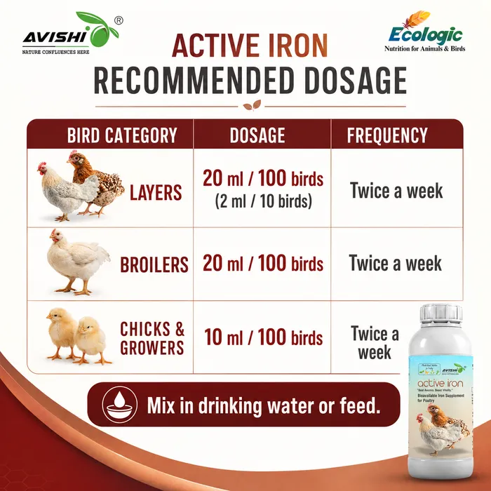 Avishi Active Iron (Poultry) Clinical Information