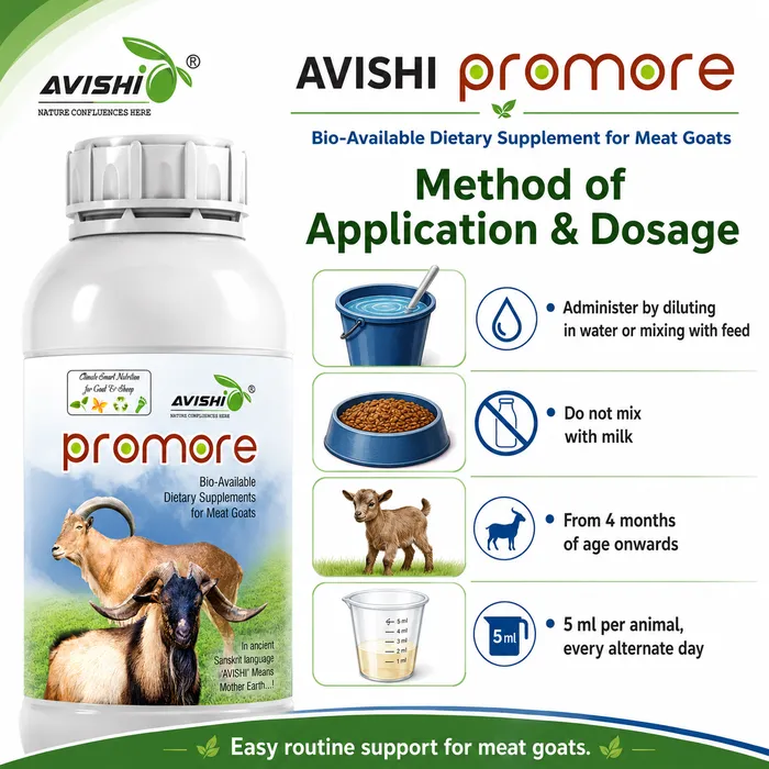 Avishi Promore (Goat & Sheep) Clinical Information