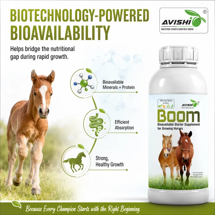Avishi Boom Clinical Information