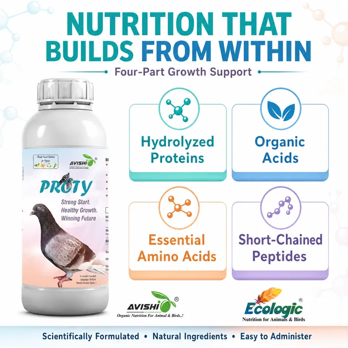 Avishi Proty Clinical Information