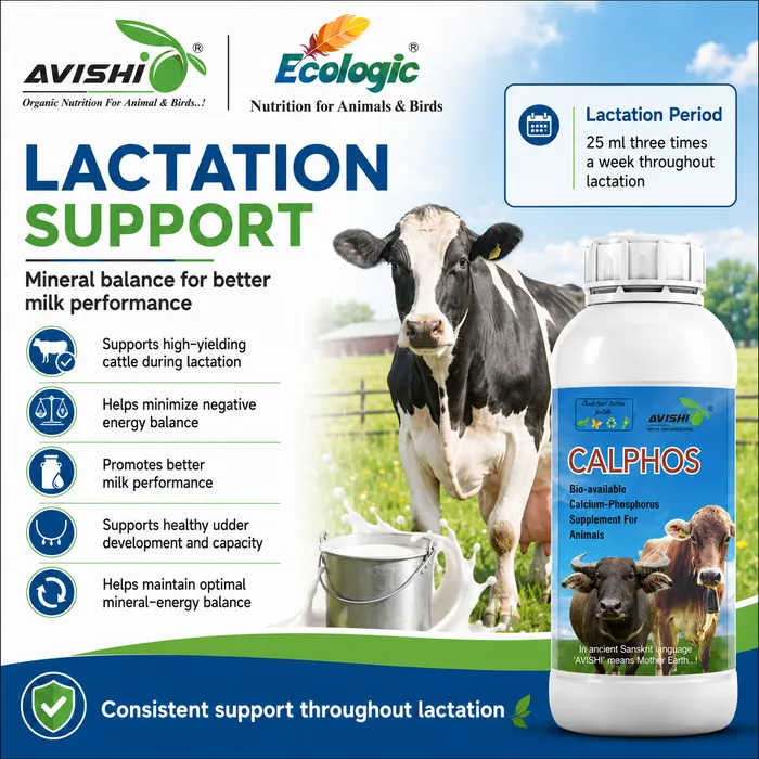 Avishi Calphos Clinical Information