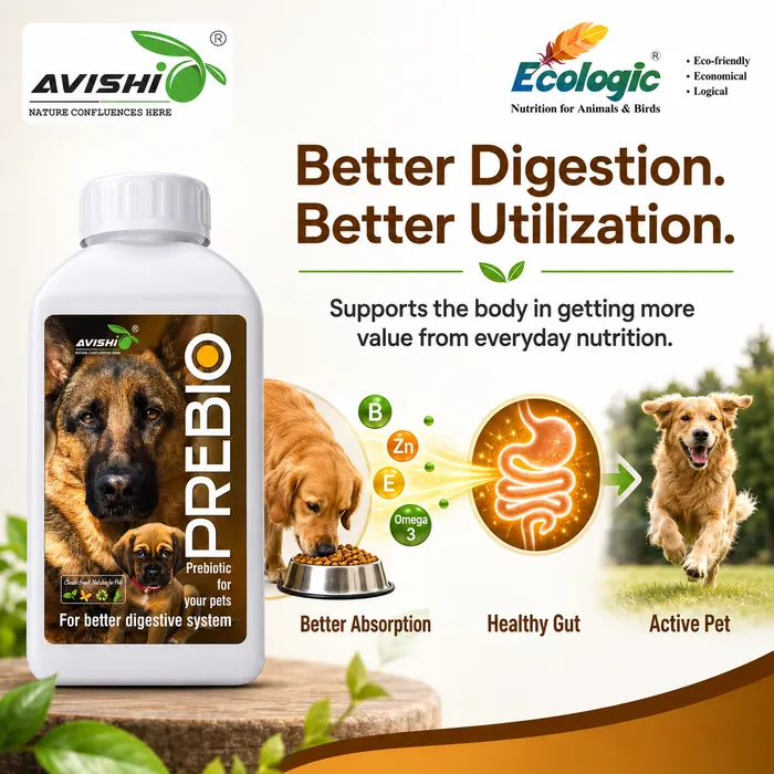 Avishi Prebio (Canine) Clinical Information