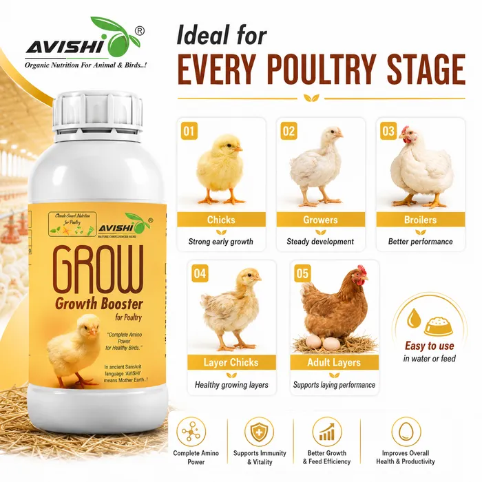 Avishi Grow Clinical Information
