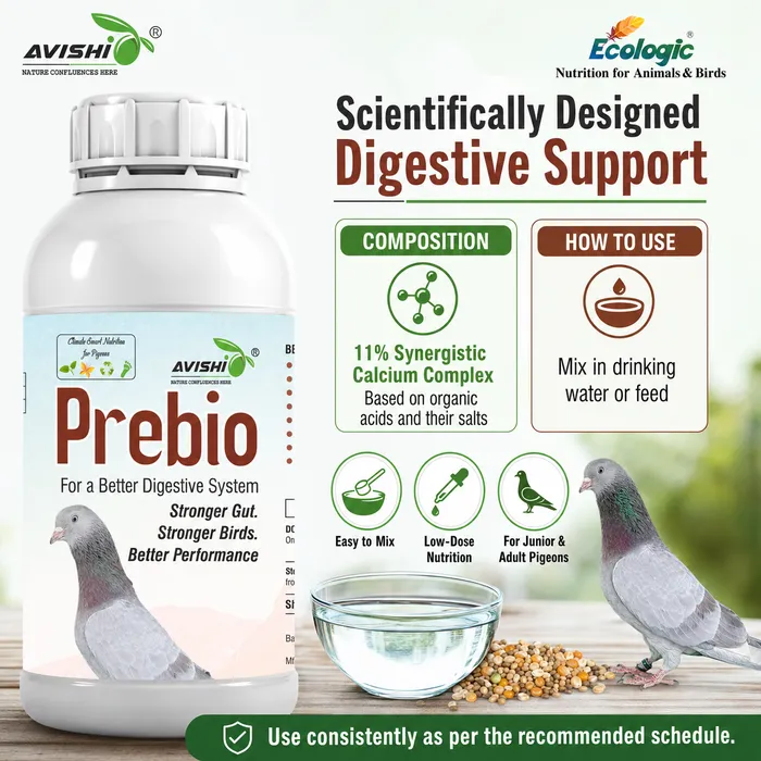 Avishi Prebio (Pigeon) Clinical Information