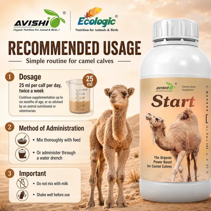 Avishi Camel Range Clinical Information