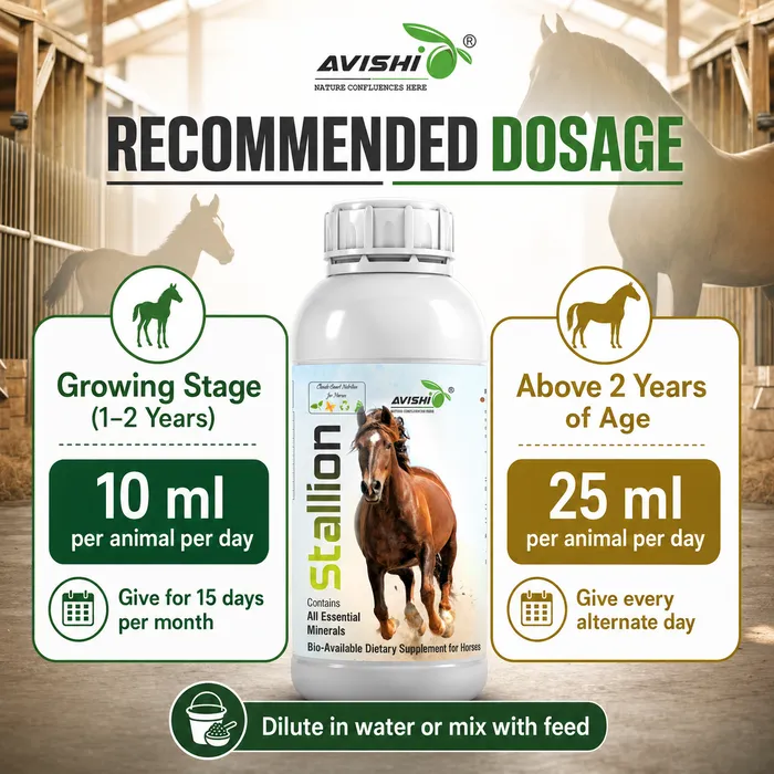 Avishi Stallion Clinical Information